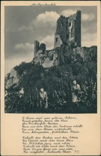 Ansichtskarte Königswinter Drachenfels, Frauen bei der Weinlese 1932