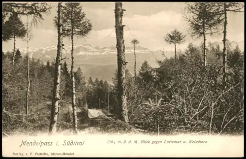 Cartolina Bozen Bolzano Blick gegen Lattemar u. Weisshorn 1908  Südtirol