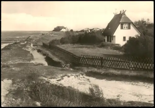 Ansichtskarte Ahrenshoop Neue Häuser an der Steilküste 1980