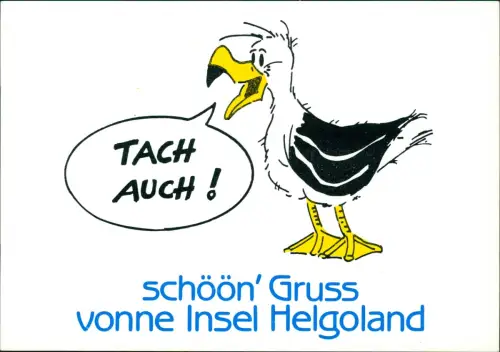 Ansichtskarte Helgoland (Insel) Cartoon Möwe 'Tach Auch!' von Helgoland 1985