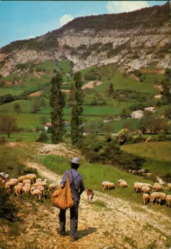 CPA .Frankreich Aufbruch der Schafherde in Gebirgslandschaft 1975