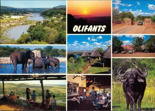 Postcard Transvaal Olifants Rest Camp, Kruger National Park 1984