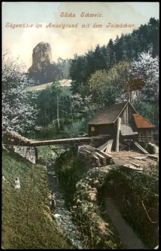 Ansichtskarte Rathewalde Sägemühle im Amselgrundm. d. Talwächter. 1913