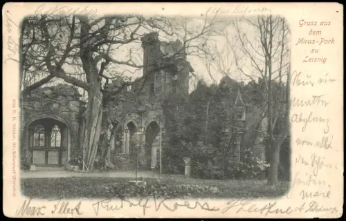 Ansichtskarte Leisnig Ruine im Mirus-Park 1901   gel ZWICKAU Ankunftsstempel
