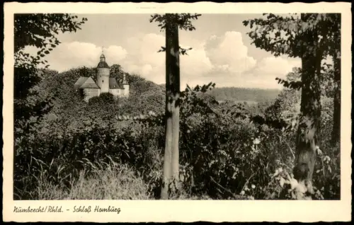 Ansichtskarte Nümbrecht Wald-Partie Blick zum Schloss Homburg 1955