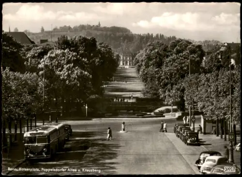 Ansichtskarte Bonn Poppelsdorfer Allee Bus Autos Fotokarte 1979