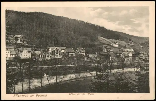 Ansichtskarte Altenbrak Villen an der Bode Bodetal Harz 1910