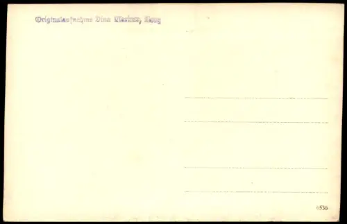 Ansichtskarte Lienz Straßenszene Bus Geschäfte 1929