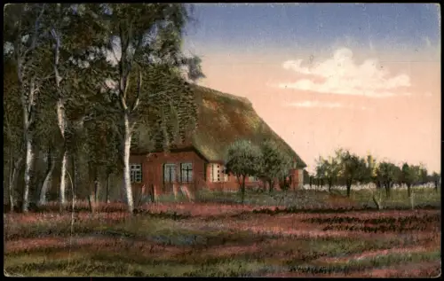 Ansichtskarte .Niedersachsen Lüneburger Heide Bauernhaus am Waldesrand 1915