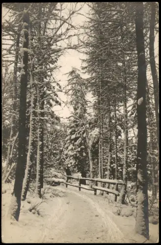 Ansichtskarte Goslar Wald im Winter Harz 1922