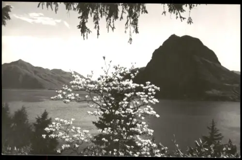 Ansichtskarte Lugano Monte S. Salvatore Baumblüte - Fotokarte 1962