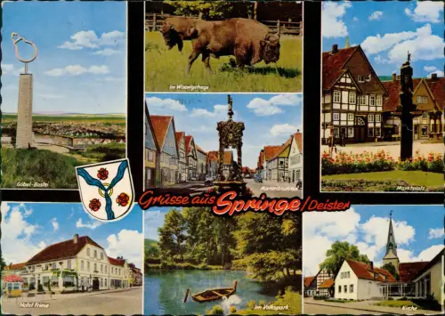 Springe Mehrbild-AK u.a. mit Wisent-Gehege, Hotel Friese, Volkspark uvm. 1966
