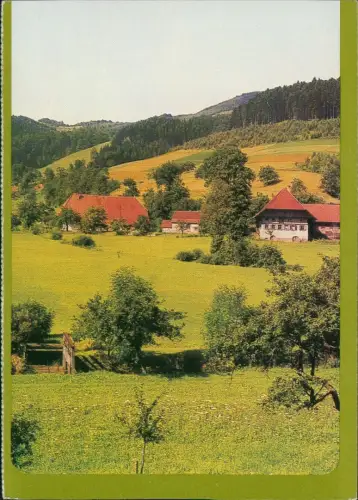 Ansichtskarte .Baden-Württemberg Schwarzwald im Kinzigtal 1980