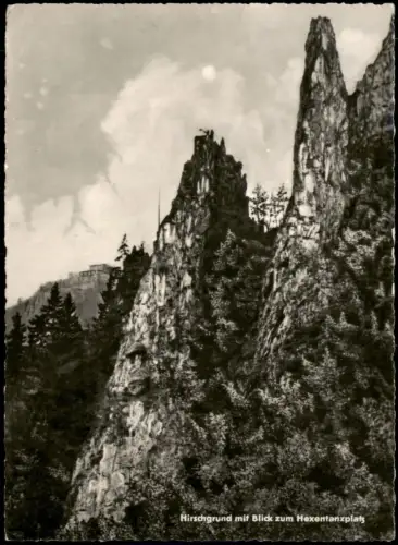 Ansichtskarte Thale (Harz) Hirschgrund, Hexentanzplatz 1959