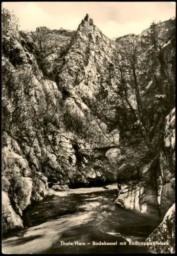 Thale (Harz) Harz Bodekessel mit Roẞtrappenfelsen zur DDR-Zeit 1963