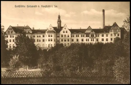 Ansichtskarte Hohwald (Sachsen) Heilstätte Hohwald - Wald 1916