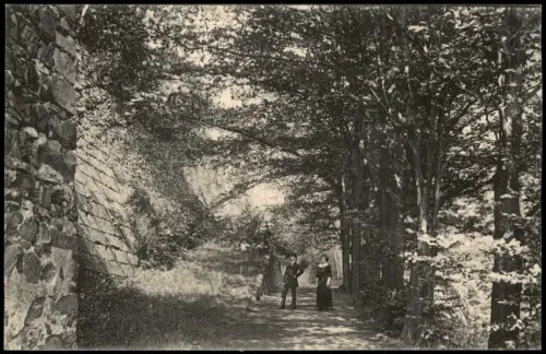 Ansichtskarte Stolpen Burg Stolpen Stadtpark 1913