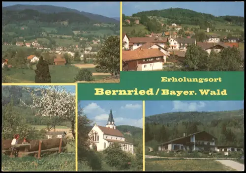 Ansichtskarte Bernried (Niederbayern) Mehrbildkarte mit 5 Ortsansichten 1975