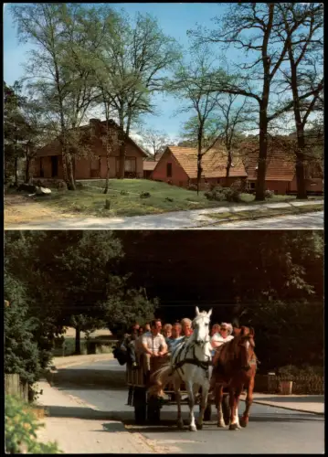 Undeloh Mehrbildkarte Ferienhaus & Pension Wilhelm Schröder Kutschfahrten 1980