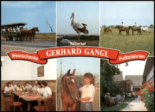 Illmitz Mehrbildkarte Weinschenke Puẞtafahrten Reiterhof GERHARD GANGL 1990