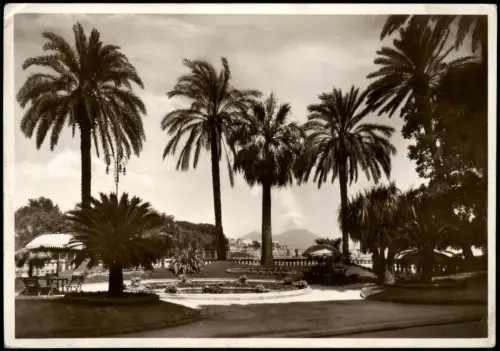Cartolina Neapel Napoli Ortsansicht mit Palmen 1935