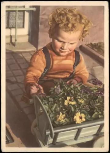 Ansichtskarte  Portrait Kinder zur DDR-Zeit Kind Junge pflückt Blumen 1954