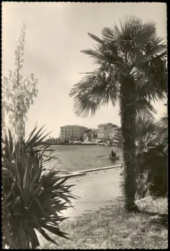 Postcard Porec Parenzo Ortsansicht, Partie am Meer, Palmen 1963