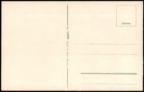 Ansichtskarte Rochlitz Turm und Steinbrüche des Rochlitzer Berges. 1913
