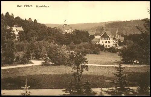 Ansichtskarte Bad Elster Albert-Park Stadtvilla 1913