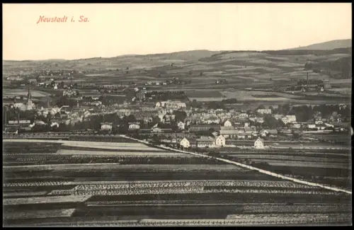 Ansichtskarte Neustadt (Sachsen) Fernblick auf die Stadt 1913