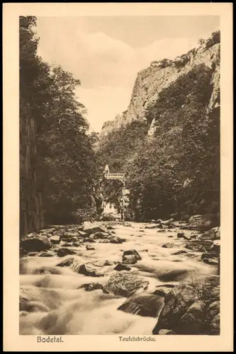 Ansichtskarte Treseburg Bodetal Harz Teufelsbrücke Fluss Bode 1910