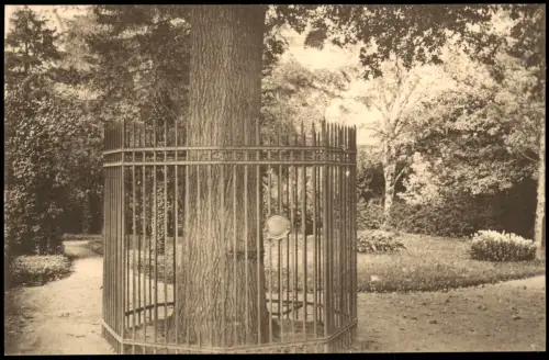 Ansichtskarte Lutherstadt Wittenberg Luther-Eiche am Elstertor 1913