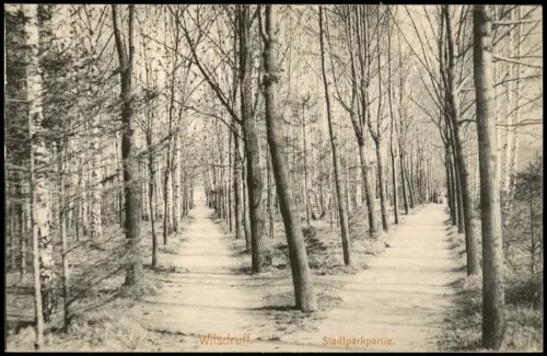 Ansichtskarte Wilsdruff Stadtparkpartie. Weggabelung 1913