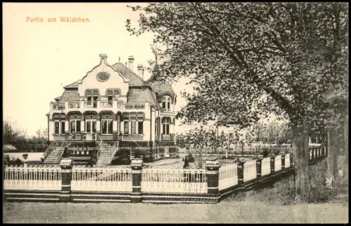 Ansichtskarte Bad Liebenwerda Partie im Wäldchen Elsterschlösschen 1914