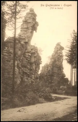 Ansichtskarte Ehrenfriedersdorf Partie an den Greifensteinen 1913