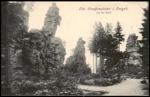 Ansichtskarte Ehrenfriedersdorf Weg zu den Greifensteinen 1913
