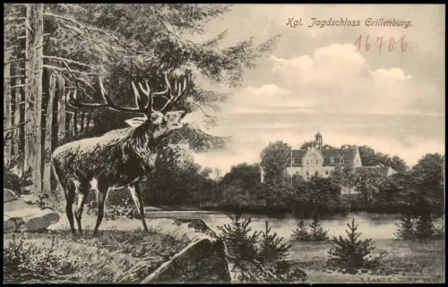 Ansichtskarte Grillenburg-Tharandt Jagdschloss und Hirsch 1913