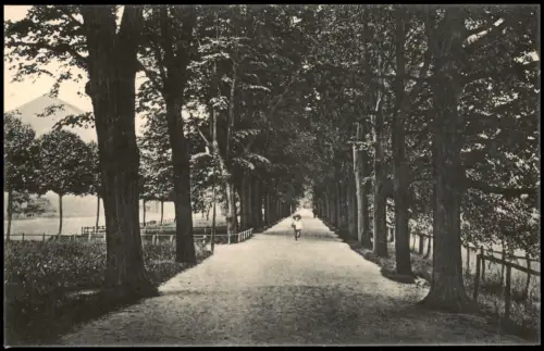 Ansichtskarte Grimma Ringpromenade 1913