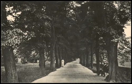 Ansichtskarte Grimma Ringpromenade, Frau 1913