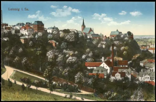 Ansichtskarte Leisnig Stadt Baumblüte 1913