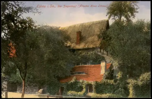 Ansichtskarte Löbau Der Ziegenkopf 1913