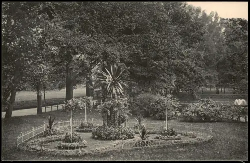 Ansichtskarte Grimma Schwanenteich-Anlagen 1913