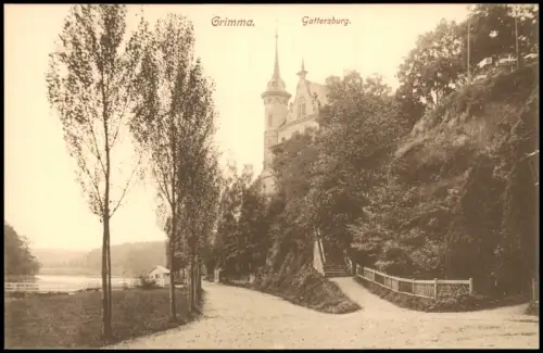 Ansichtskarte Grimma Weg Gattersburg 1913