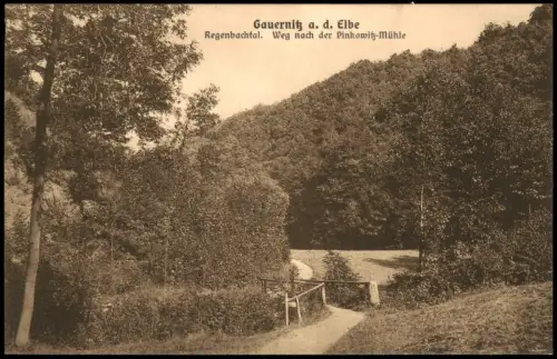 Gauernitz-Klipphausen Regenbachtal. Weg nach der Pinkowitz-Mühle 1913