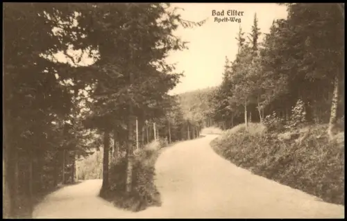 Ansichtskarte Bad Elster Apelt-Weg 1913
