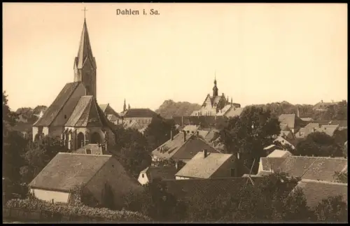 Ansichtskarte Dahlen Stadtpartie 1913