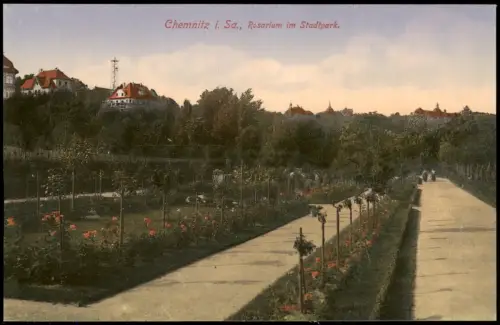 Ansichtskarte Chemnitz Rosarium im Stadtpark. 1913