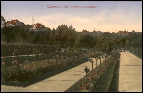 Ansichtskarte Chemnitz Rosarium im Stadtpark. 1913