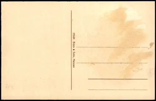 Ansichtskarte Riesa Sedanstrastraße 1914