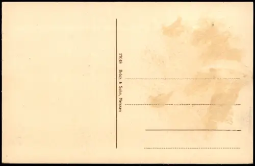 Ansichtskarte Riesa Georgplatz mit Pfarre 1913